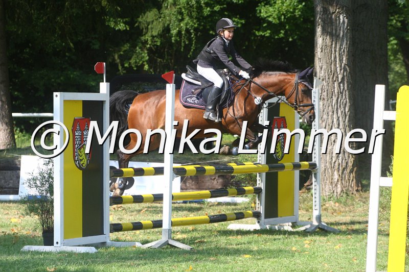 308M9747_e_Wolfsteins Balentine_Spring_A.JPG